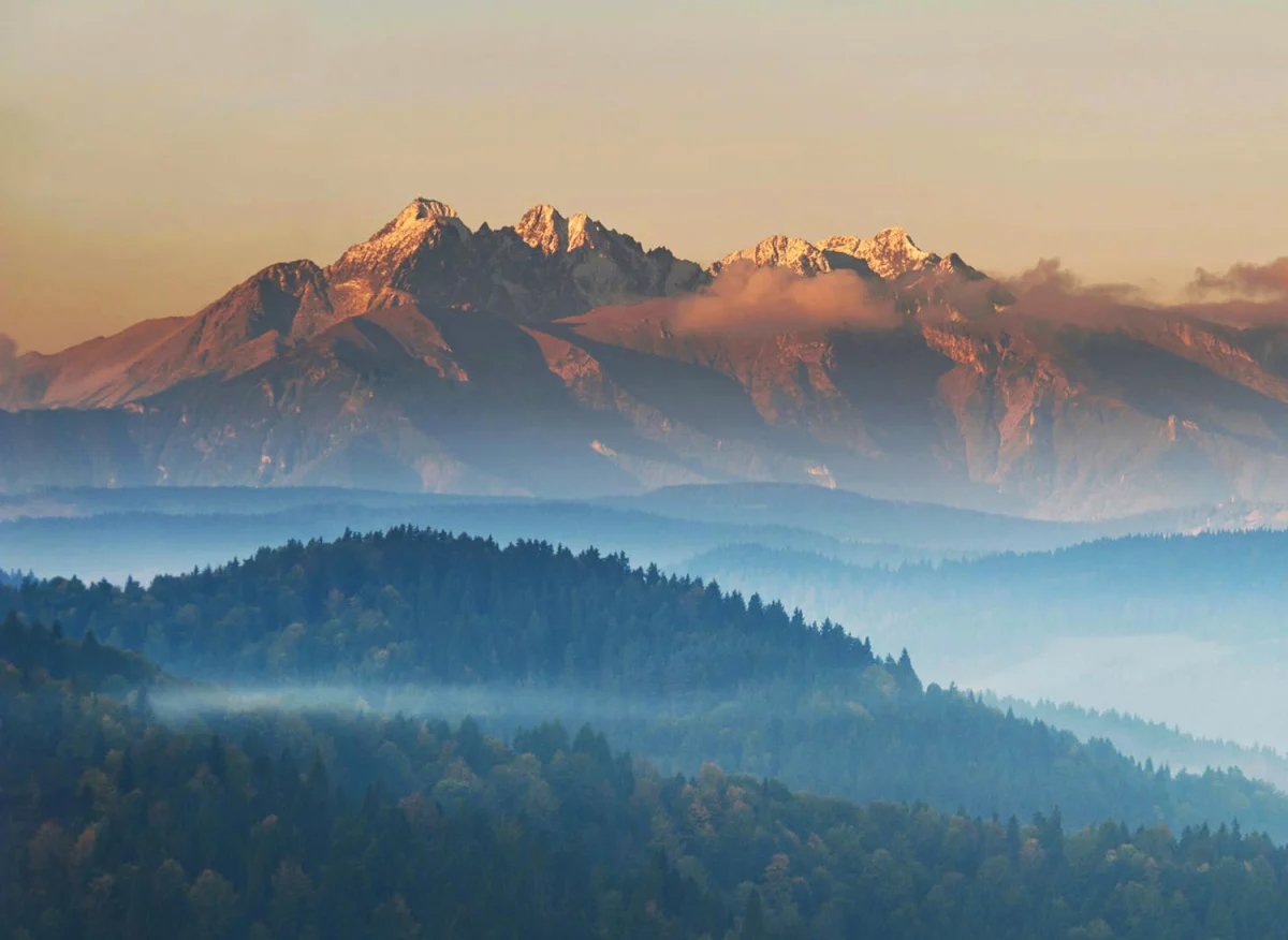 Zwykły Chłopak Chciał robić biznes. Przypadkowo Odkrył 1 Dziwny Sposób, Przez Który Sprzedawcy Go Nienawidzą.